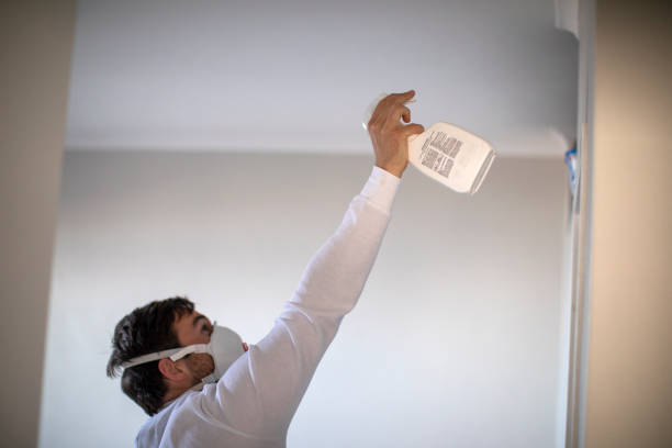 Best Crawl Space Mold Removal  in Bay City, MI